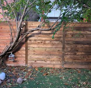 Privacy Fences